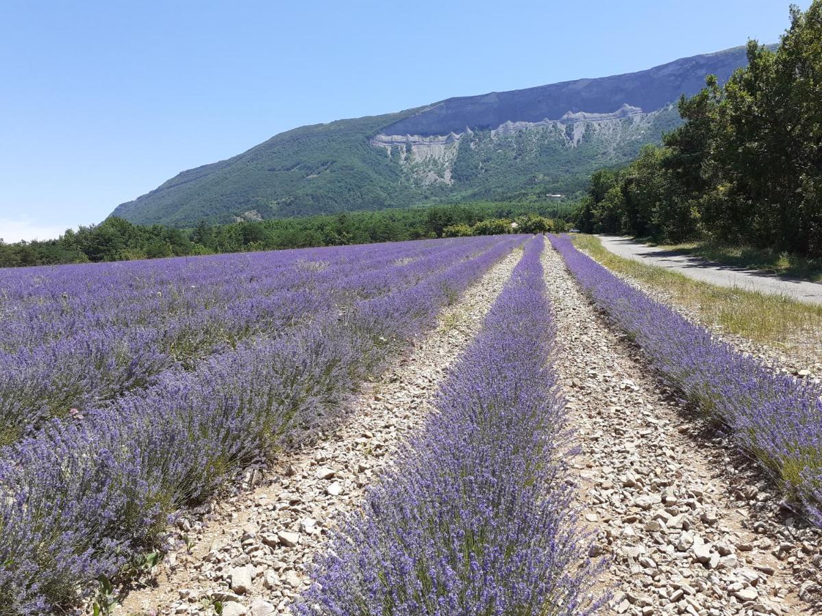 Rose Des Alpes Bed & Breakfast Serres  Luaran gambar